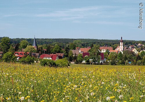 Blumenwiese bei Allersberg
