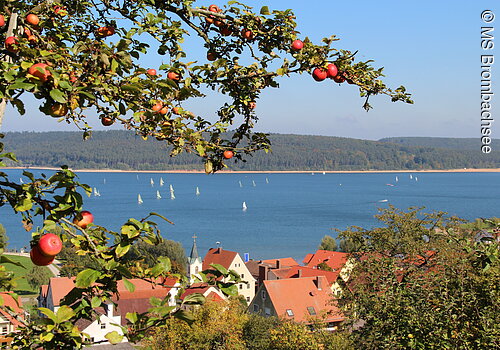 Panorama Brombachsee