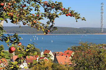 Panorama Brombachsee