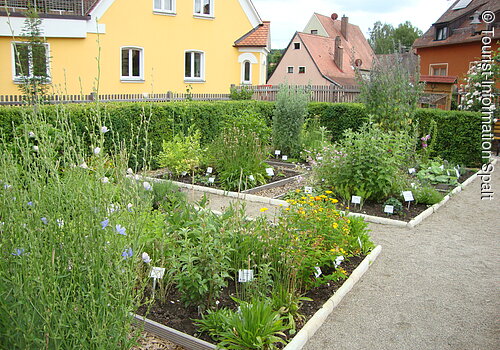 Verschiedene Kräuter, Gewürze und andere Pflanzen zieren den Apothekergarten in Spalt.