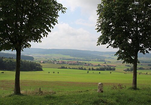 Ausblick vom Grenzsteinfeld bei Stauf