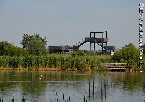 Blick auf den Ausischtturm der Vogelinsel und die Vogelinsel mitten im See.