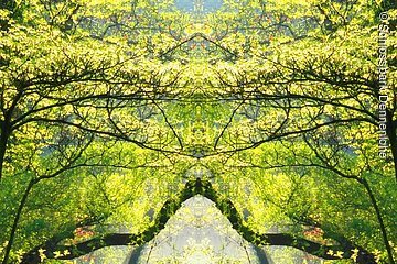 Rote Brücke im Schlosspark Dennenlohe