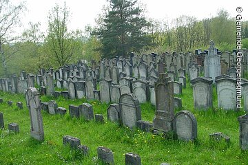 Grüner Friedhof