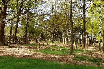 Ein Friedhof im Wald. Neben den vermossten Grabsteinen stehen Bäume.