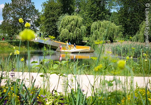 Durch Gräser und Blumen sieht man einen Teich. Der Teich ist umgeben von grünen Bäumen und Sträuchern.