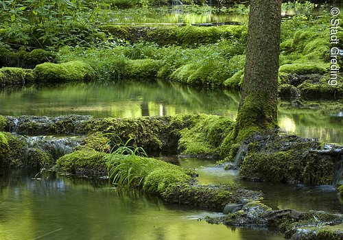 Kalksinterterrassen Kaisinger Tal