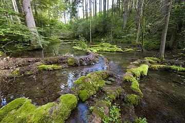 Sinterterrasse im Kaisinger Tal