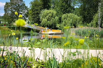Durch Gräser und Blumen sieht man einen Teich. Der Teich ist umgeben von grünen Bäumen und Sträuchern.