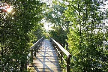Eine Brücke auf der Vogelinsel über den Altmühlsee.