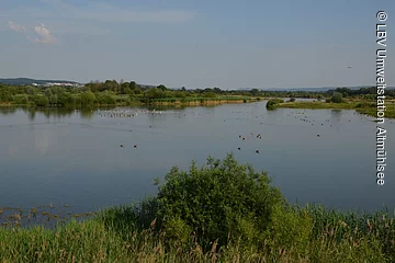 Ausblick vom Aussichtturm auf die Wasserfläche, die umgeben ist von grünen Wiesen.