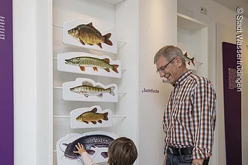 Ein Großvater betrachtet mit seinem kleinen Enkelkind ein Ausstellungstück. An der Wand hängen Modelle heimischer Süßwasserfische.