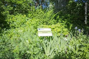 Landesgartenschaugelände