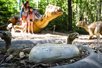 Im Außengelände des Dinosauriermuseum Denkendorf beobachten Kinder die ausgestellten Dinosaurier.