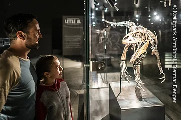 Ein Vater mit Kind schauen sich einen kleinen ausgestellten Dinosaurier in einer Vitrine an.