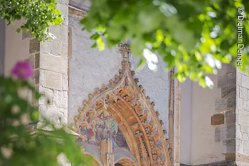 Am Münster
