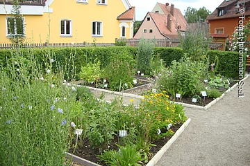 Verschiedene Kräuter, Gewürze und andere Pflanzen zieren den Apothekergarten in Spalt.