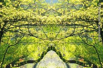 Eine rote Brücke über einem kleinen Bach. Umgeben von Grünen Bäumen durch die die Sonne strahlt.