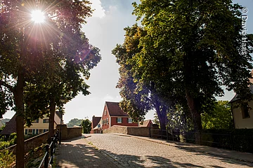 Eine gepflasterte Straße führt über eine Steinbrücke. Entlang der Straße stehen jeweils links und rechts zwei Bäume. Durch die Blätter der Baumkronen scheint die Sonne.