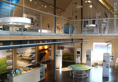 Die Ausstellung "Lebensraum Altmühlsee - Faszination Vogelinsel" erstreckt sich über zwei Etagen.