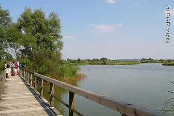 Mehrere Stege sind Teil des Rundweg auf der Vogelinsel.