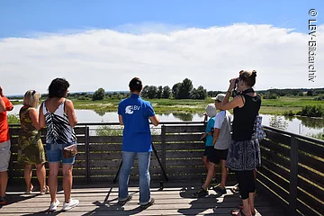 Vom Aussichtsturm auf der Vogelinsel aus lassen sich viele verschiedene Vögel beobachten.