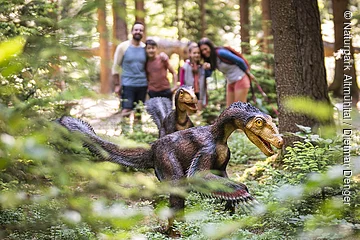 Zwei Dinosauriermodelle im Wald, unscharf im Hintergrund eine Gruppe von Menschen.