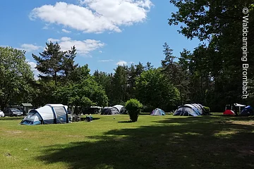 Zelte auf einer Wiese, umgeben von Bäumen und blauem Himmel mit wenigen Wolken.