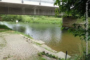 Uferbereich mit Stufen am Fluss unter einer Betonbrücke, umgeben von Grünpflanzen und Bäumen.