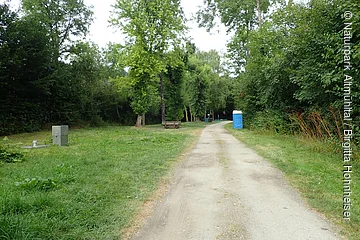 Waldweg mit Grasflächen, Bäumen, einer Bank und einem blauen mobilen Toilettenhäuschen am rechten Wegesrand.