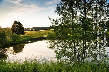 Weiher bei Feuchtwangen©THomas Linkel