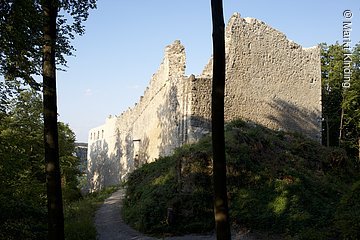 Burgruine Rumburg bei Enkering