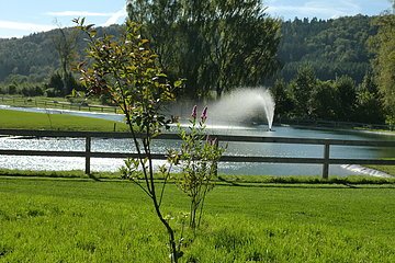 Golfplatz Springbrunnen