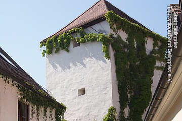 Sauhüterturm im Sommer