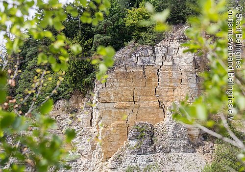 Geotop am Arzberg