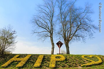 Frühling in Hilpoltstein©Bernhard Bergauer