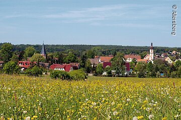 Blumenwiese bei Allersberg