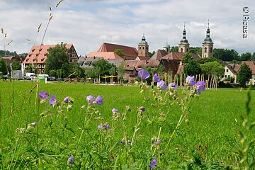 Stadtansicht von Spalt