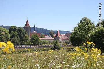 Berching Panoramaseite©Stadt Berching