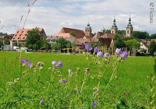 Stadtansicht von Spalt