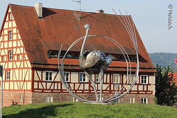 Vogelstrauß in Heideck