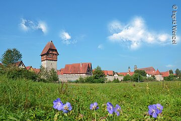 Bäuerlinsturm in Dinkelsbühl