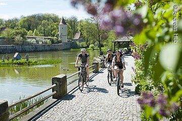 Radfahren am Rothenburger Weiher