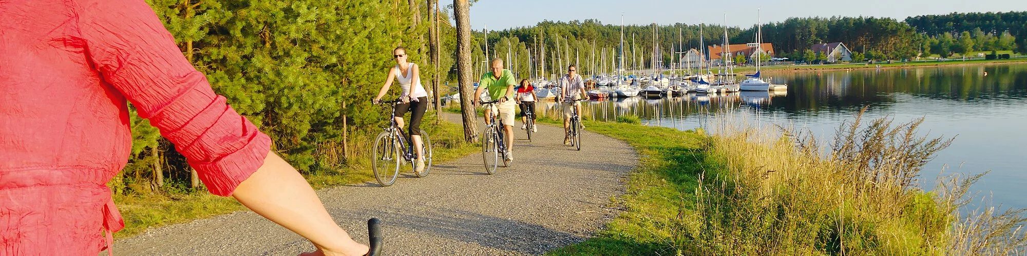 https://www.fraenkischer-wasserradweg.de/data/thumbs/img/9559693_fwr-im-seenland.webp